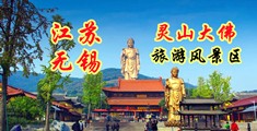 www.A逼江苏无锡灵山大佛旅游风景区